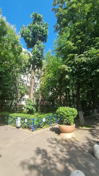 Obregia - Berceni